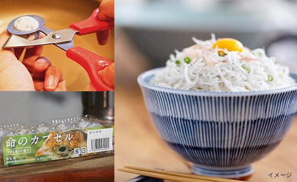 0512000205_627bcfed34ffa