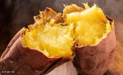 【BtoB】【木更津用】千葉県産熟成冷凍さつまいも1kg