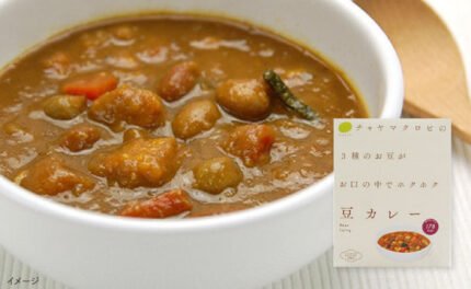 CHAYAマクロビ「豆カレー」