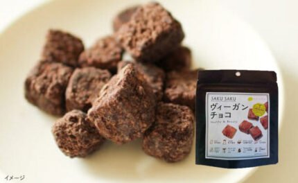 CHAYAマクロビ「SAKUSAKUヴィーガンチョコ」35g