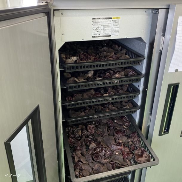 新鮮なまま乾燥