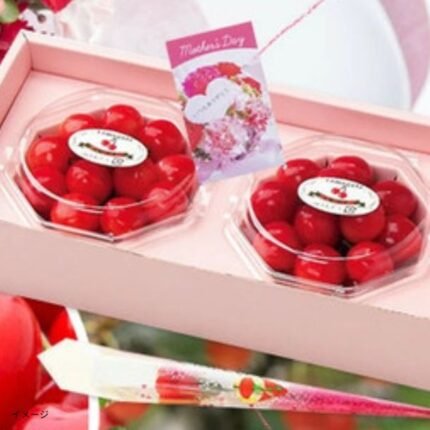 山形県産「母の日 さくらんぼ 佐藤錦 L玉ダイヤパック」100g