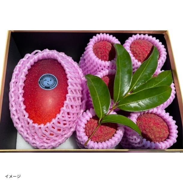 2025-06-13T111906.089