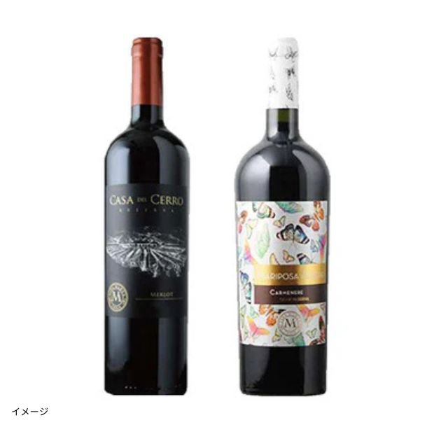 2025-06-17T121303.575