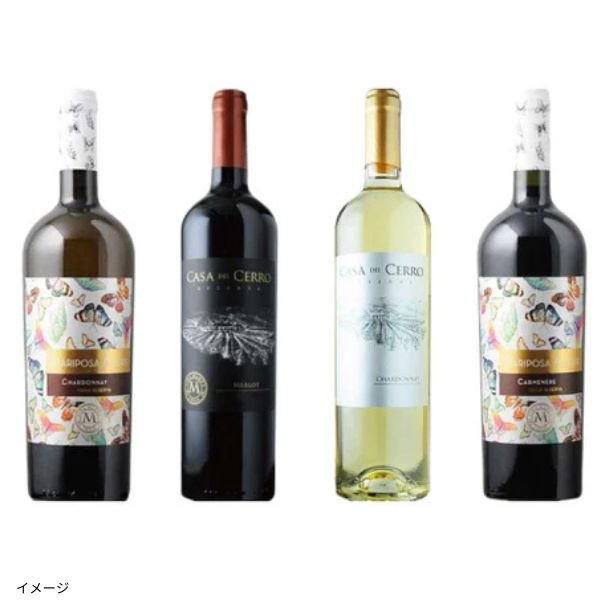 2025-06-24T110905.636