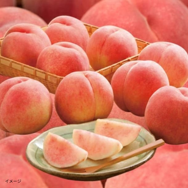 2025-06-30T121706.208