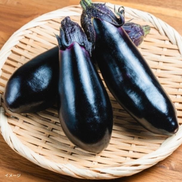 2025-07-02T110501.863