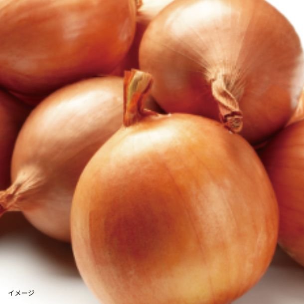 2025-07-02T115949.204