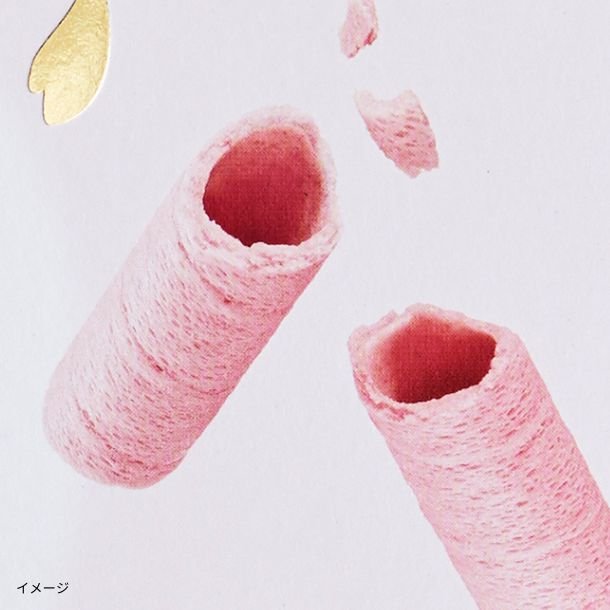 2_627721d8-b3ad-44a3-9b38-205a74ad44bd