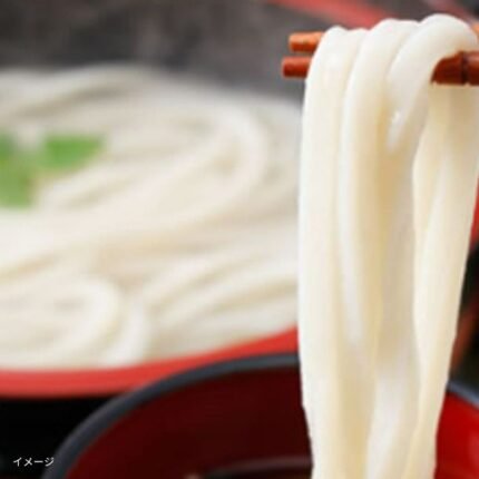 「訳あり半生極太讃岐うどん」1000g