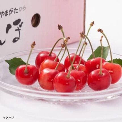 山形県産「訳ありさくらんぼ 品種おまかせ」約180g