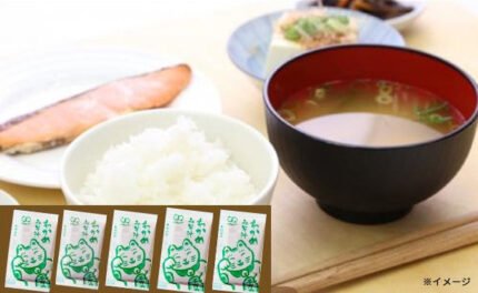 「国産みそ汁 生みそタイプ わかめ」860g（約60食）