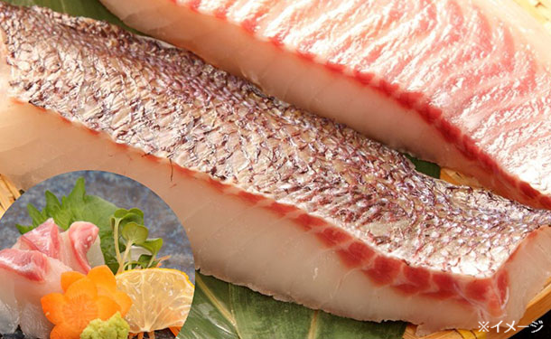 image_37_d206393b-be55-494a-b596-d6fd67764846