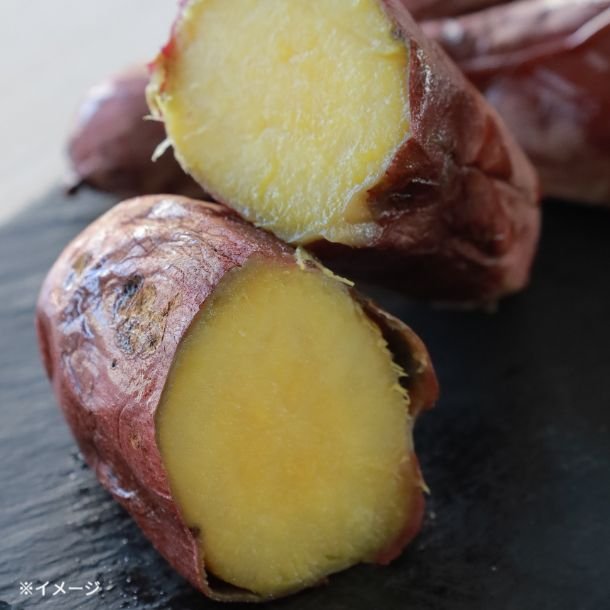 image_65_3a4a4054-ff21-4ece-9e7c-b202308a4171