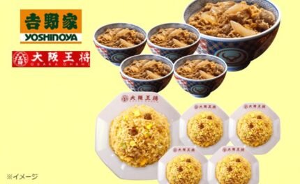 吉野家×大阪王将「牛丼の具＆直火炒めチャーハン王道セット」合計10食