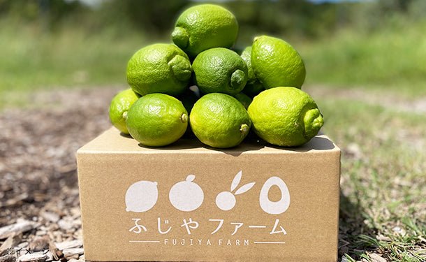 main01-2022-08-22T093314.398