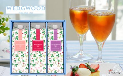 WEDGWOOD「アイスティー・アイスコーヒーセット」3本入