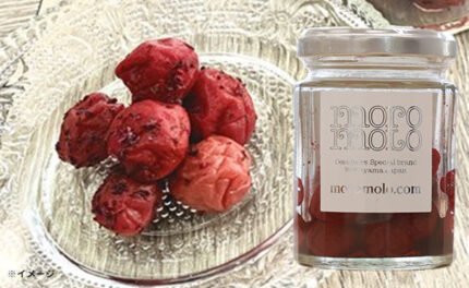 「紀州小梅手揉み赤紫蘇 kobeni」