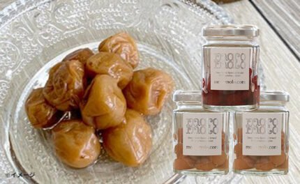 「紀州小梅 komitsu kobeni kosui 3種セット」各2個