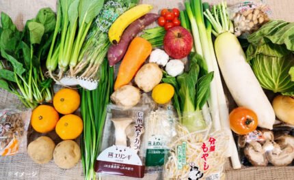 「青果専門卸が目利き！おまかせ野菜ボックス（10～20品目）」