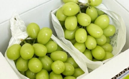 山梨県産「シャインマスカット」約600g