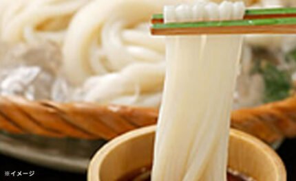 「訳あり本場讃岐の包丁細切り讃岐うどん」900g