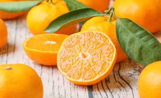 main01-2023-10-11T102419.105_5f473fd8-d34d-4d29-8e40-13d4256f0c1b