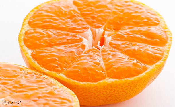 main01-2023-11-02T153029.789