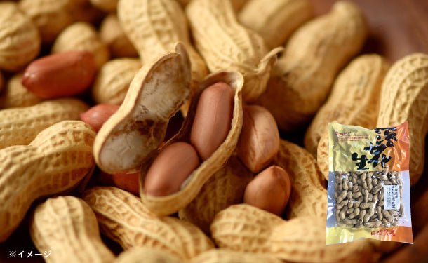 main01-2024-01-18T131621.195