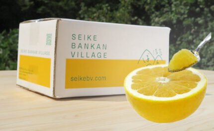 愛媛県産「プレミアム河内晩柑（L/2L/3L）」5kg