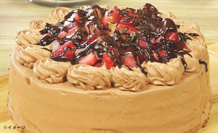 「角切りイチゴのチョコレートケーキ 5号」