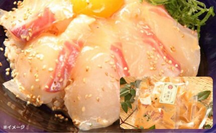 沼津産「鯛ごま茶漬けの素」