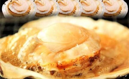 「北海道名産 ほたて片貝」10枚入り