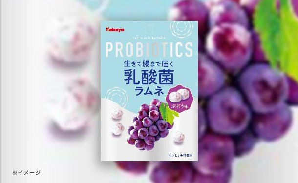 main01-2024-06-25T121806.688