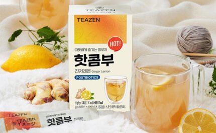 TEAZEN「 ジンジャーレモンコンブチャ」10包入