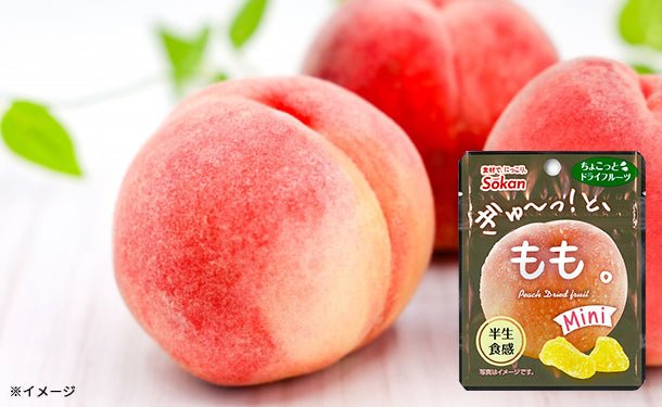 main01-2024-10-01T105016.501