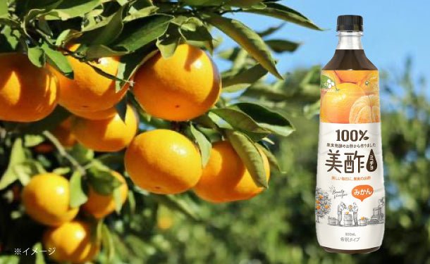 main01-2024-10-02T162445.304