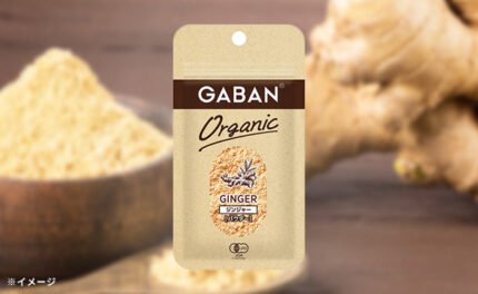 GABAN「オーガニック ジンジャー（パウダー）」10g