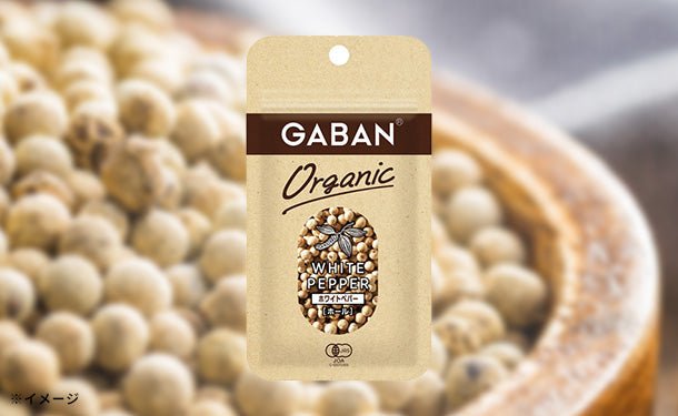 main01-2024-10-03T203617.226