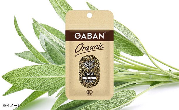 main01-2024-10-04T155634.383