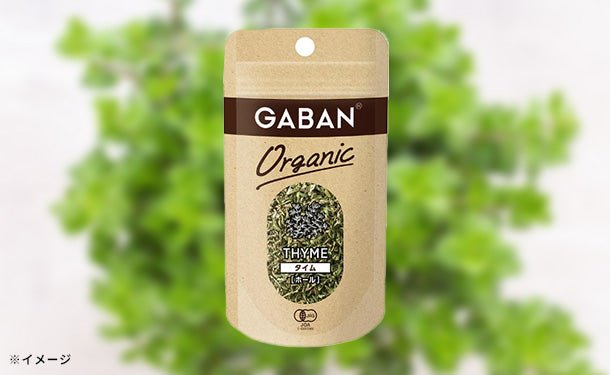 main01-2024-10-04T160545.706