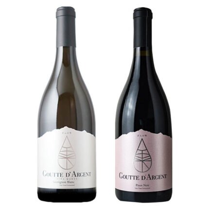 「日本酒酵母を使用！ぎんの雫ワイン2種 六本木フード＆ワインフェスチケット付き（11/2開催分）」