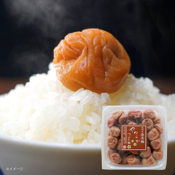 main01-2024-11-06T162604.947