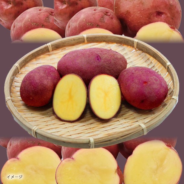 main01-2024-11-07T170440.900