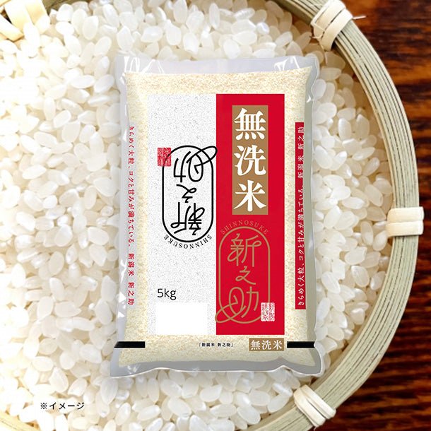 main01-2024-11-11T145150.584