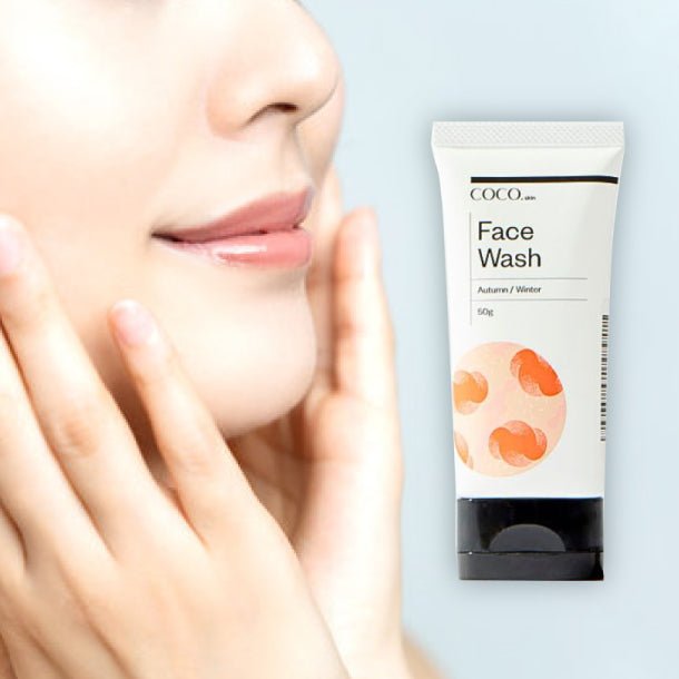 main01-2024-11-19T162611.323