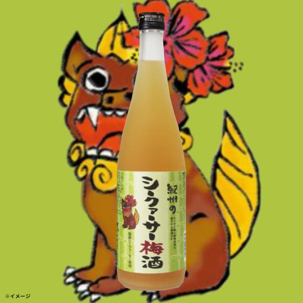 main01-2024-11-28T142050.555