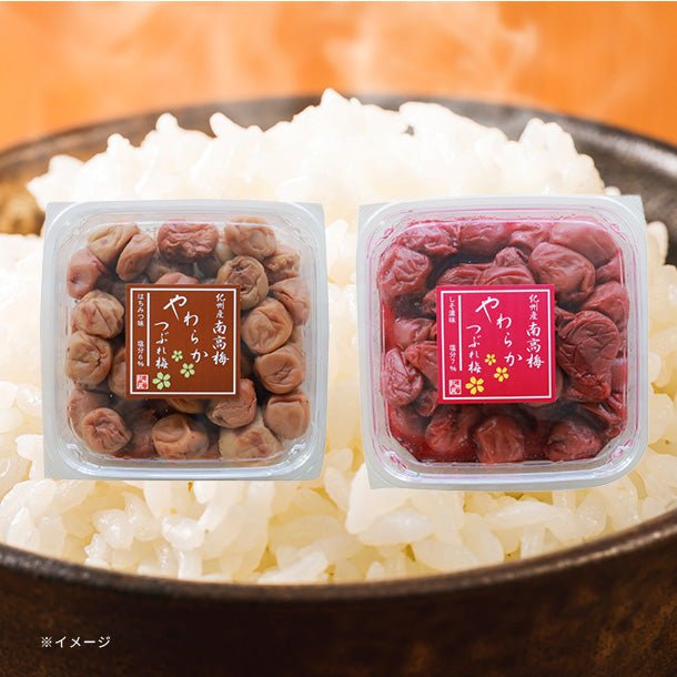 main01-2024-12-02T102854.794