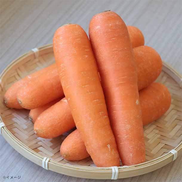 main01-2025-03-19T141313.838