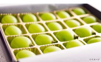 信州産「シャインマスカット粒詰め合わせ」